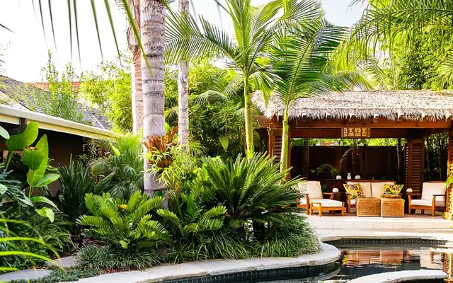 Palmiers et plantes pour un jardin tropical à Casablanca