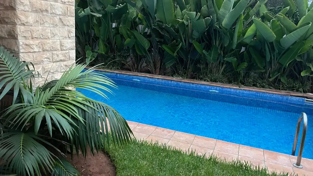 Aménager les abords de sa piscine : l'alliance du luxe et de la propreté