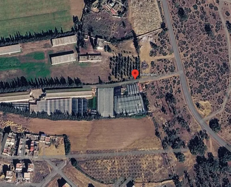 Vue satellite de la pepiniere InfiniPalm