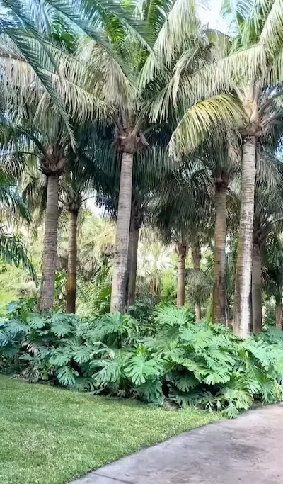 Fairchild Garden